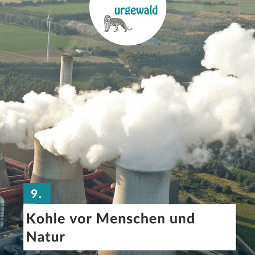 Kohlekraftwerk