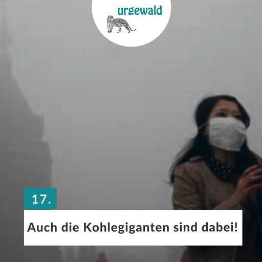 Smog durch Kohle