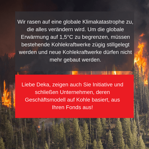 Rückseite brennender Wald