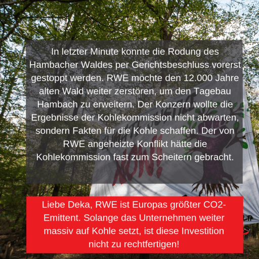 Hambacher Wald
