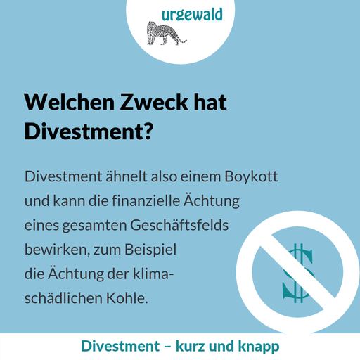 Welchen Zweck hat Divestment?