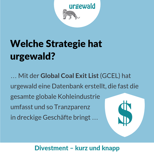 Welche Strategie hat urgewald?