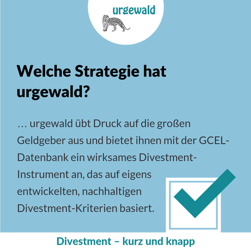 Welche Strategie hat urgewald?