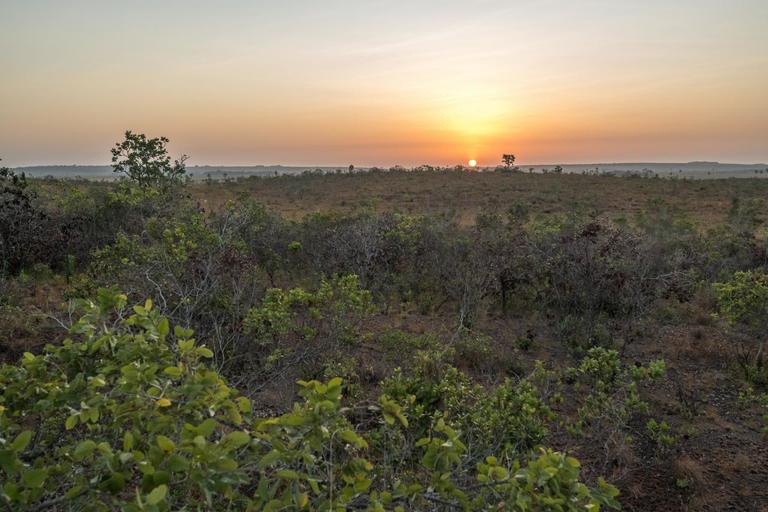 Sunrise on the savannah