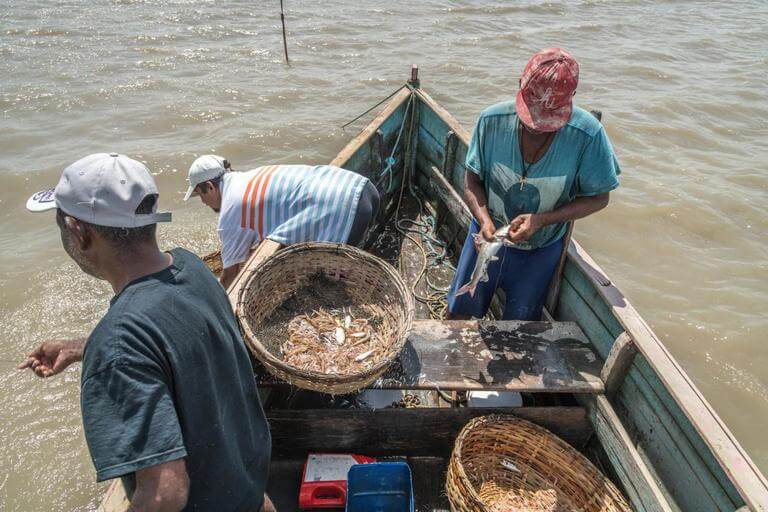 Fishermen catching shrimps and fish