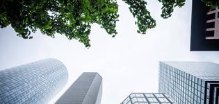 Klimawandel: Banken verpflichten sich zu mehr Klimaschutz