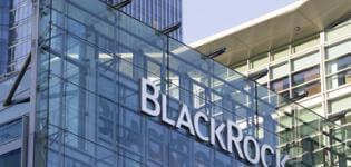 'No issue ranks higher than climate change': BlackRock presses firms to target net zero